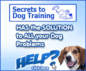 Secrets to Dog Training